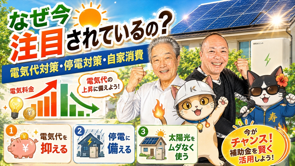 宮崎で太陽光発電と蓄電池が注目されている理由